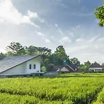 Villa Kingfisher 2
