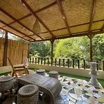 Bamboo Oasis