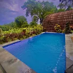Big Tree House