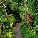 Heaven View 2 Bedroom Ubud Sayan