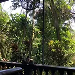Jungle Hideaway Villas - Newly Renovated Formerly Griya Bunga 2 - Unit 3