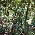 Jungle Hideaway Villas - Newly Renovated Formerly Griya Bunga 2 - Unit 3