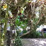 Jungle Hideaway Villas - Newly Renovated Formerly Griya Bunga 2 - Unit 3