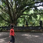 The Suris Ubud