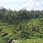 The Suris Ubud