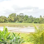 The Walet