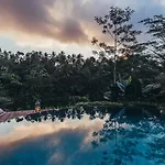 Cloud Nine Estate