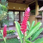 Ubud Lestari Bungalows