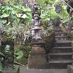 Arjana Bungalows 2