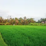 Restu House