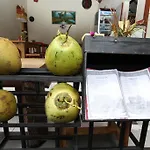 Citrus Tree B&B - Shana