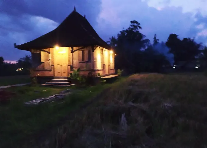 The Morgan Villa With Rice Field View