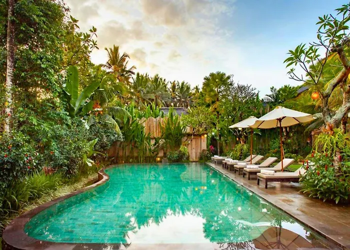 Zyandru 1 Bedroom Deluxe Garden View Zn175