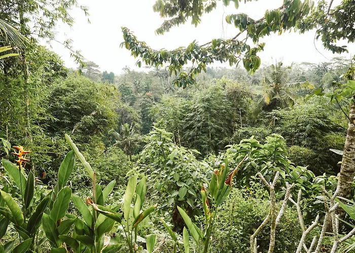 Teba One Cottages Ubud