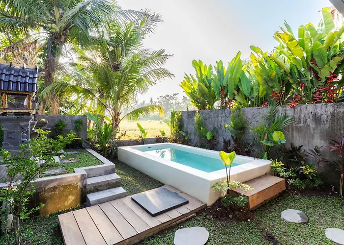1Bd Apartment Parafrutts In Ubud