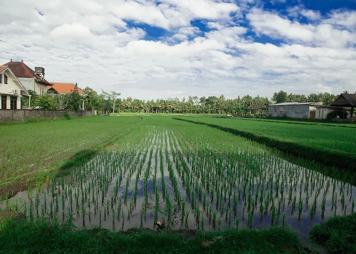 Canang Sari House
