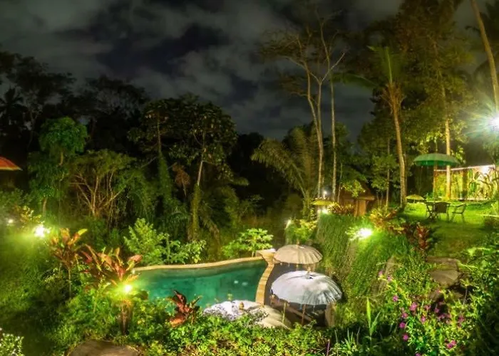 The Jungle Villa