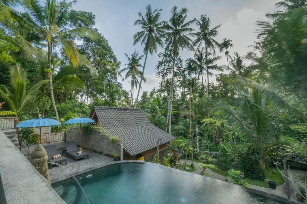 Sweet Orange Villa *