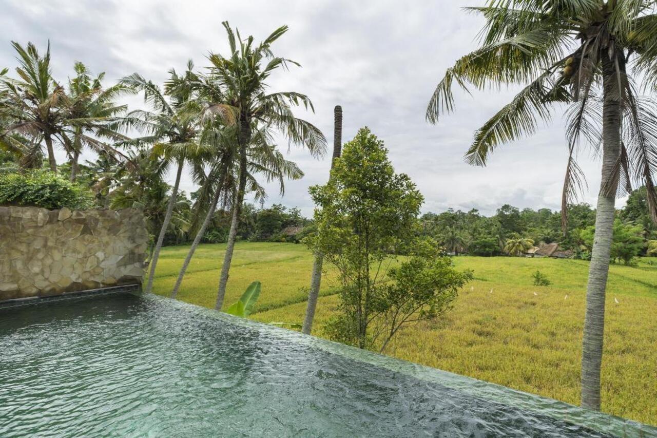 Motama Ubud