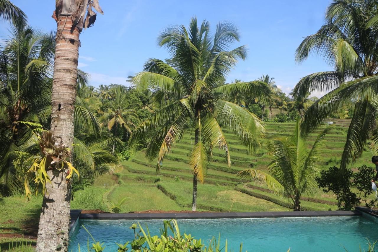 Green House Guest house Ubud (Bali)