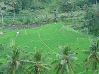 Indah 2* Ubud