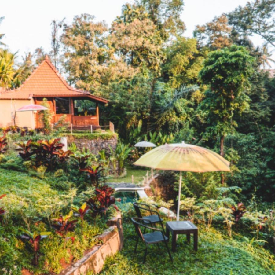The Jungle Villa *