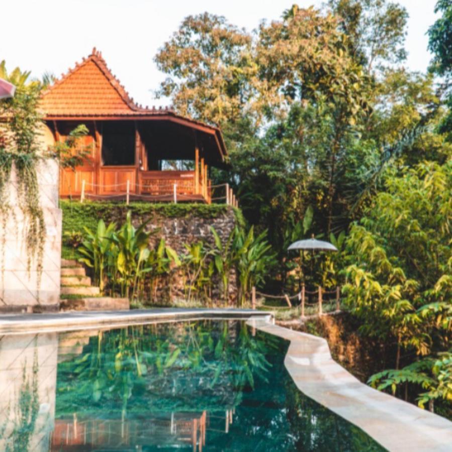 Villa The Jungle