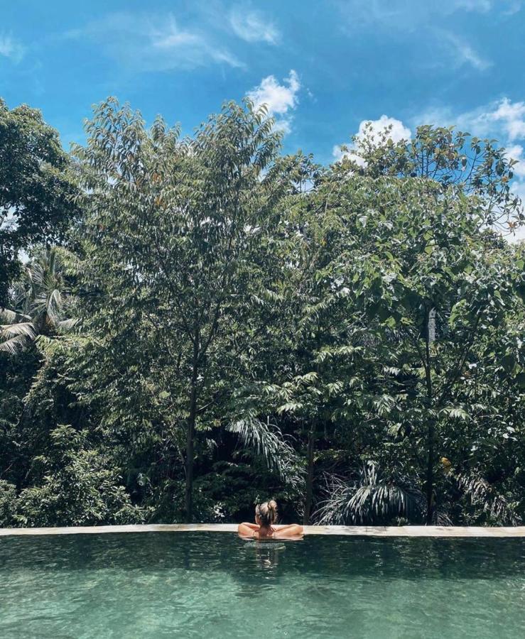 The Jungle Villa Ubud (Bali)
