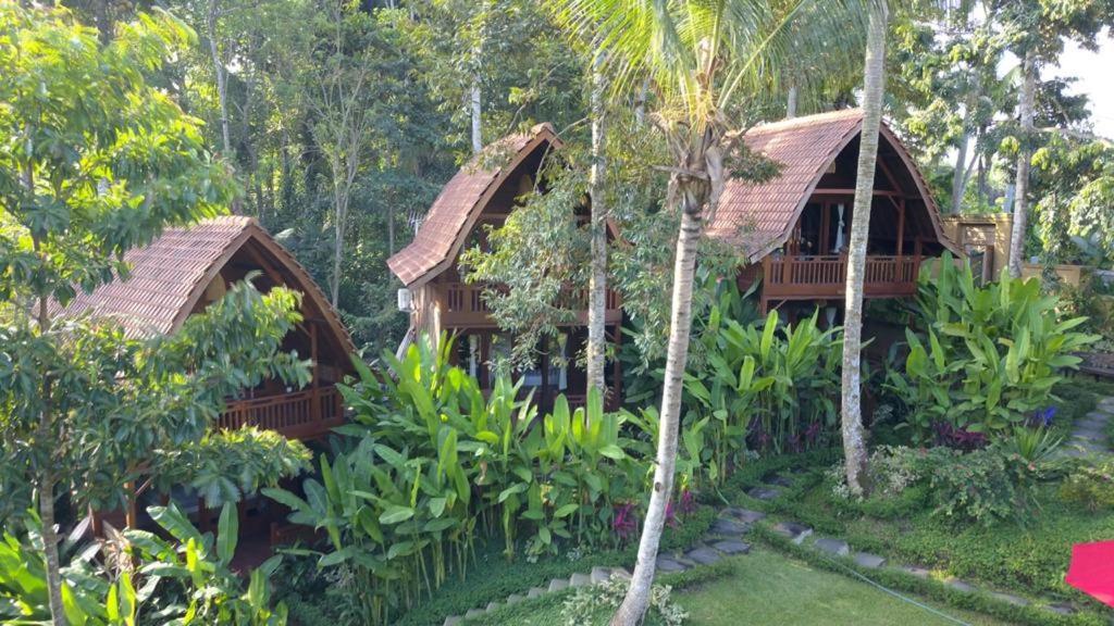 Villa The Jungle Ubud (Bali)