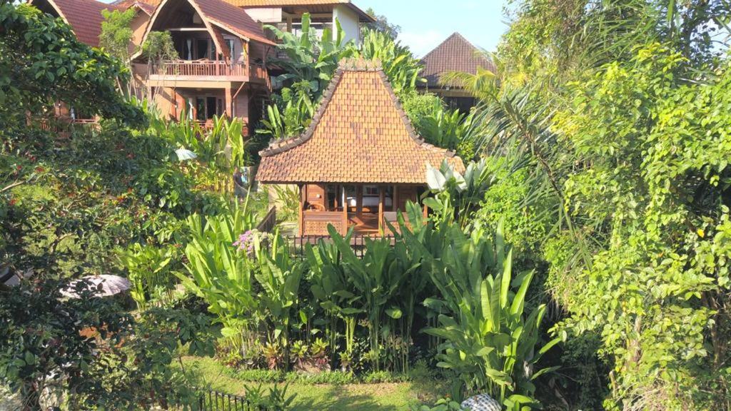 The Jungle Villa *