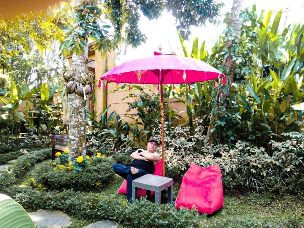 The Jungle *