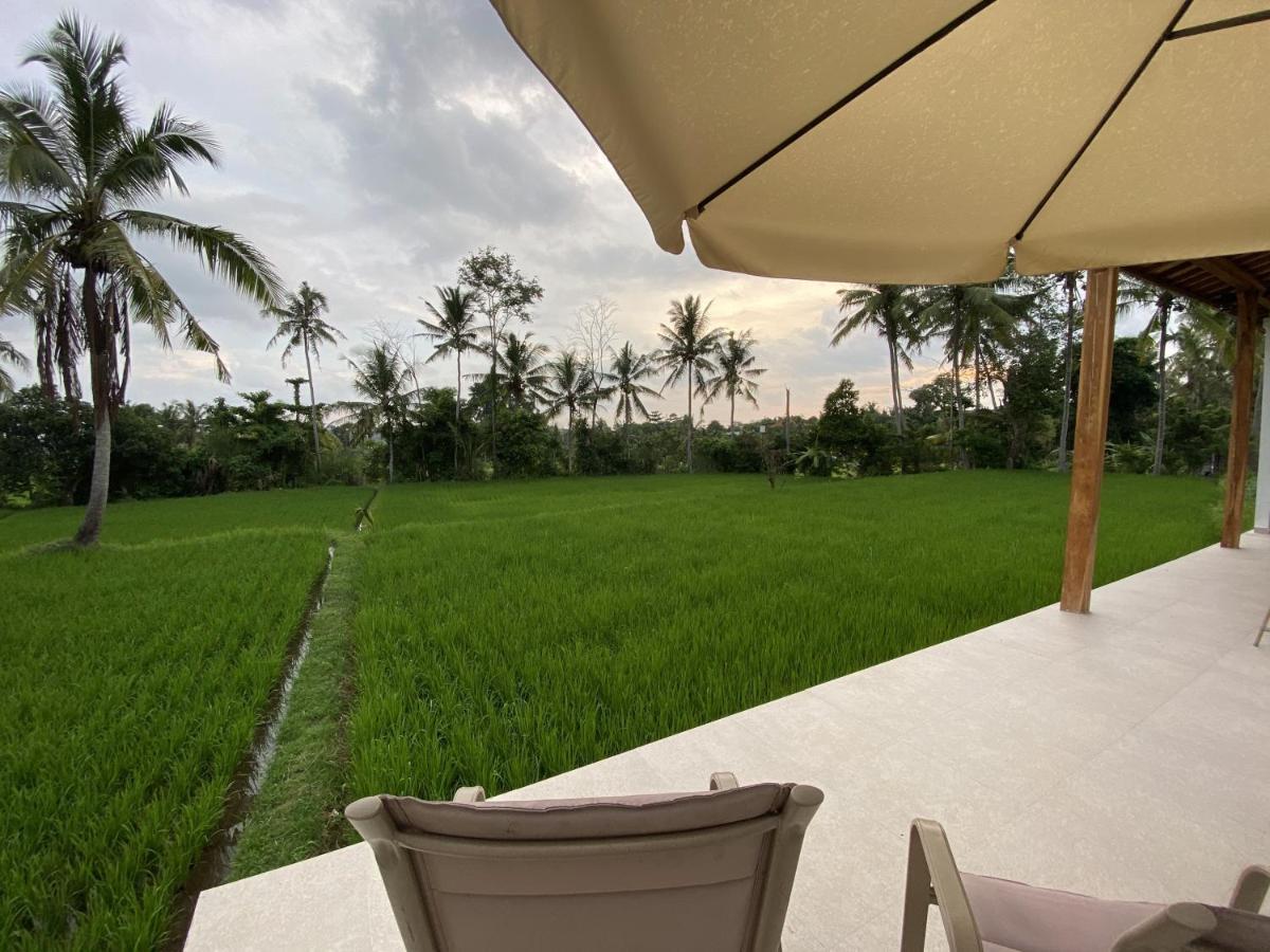 Villa Luxury Ada Padi One Bed *