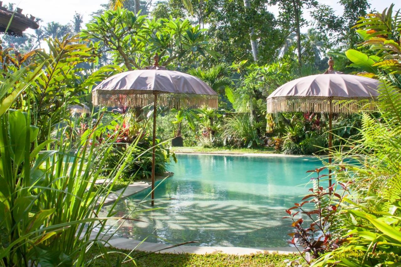 Mahadevi Jungle Retreat Joglo 2 *