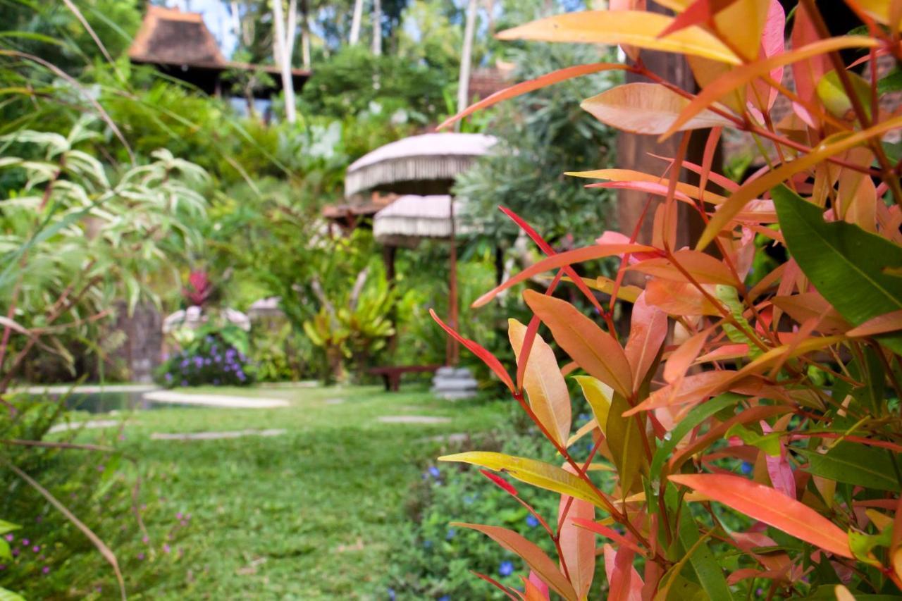 Mahadevi Jungle Retreat Joglo 2 *