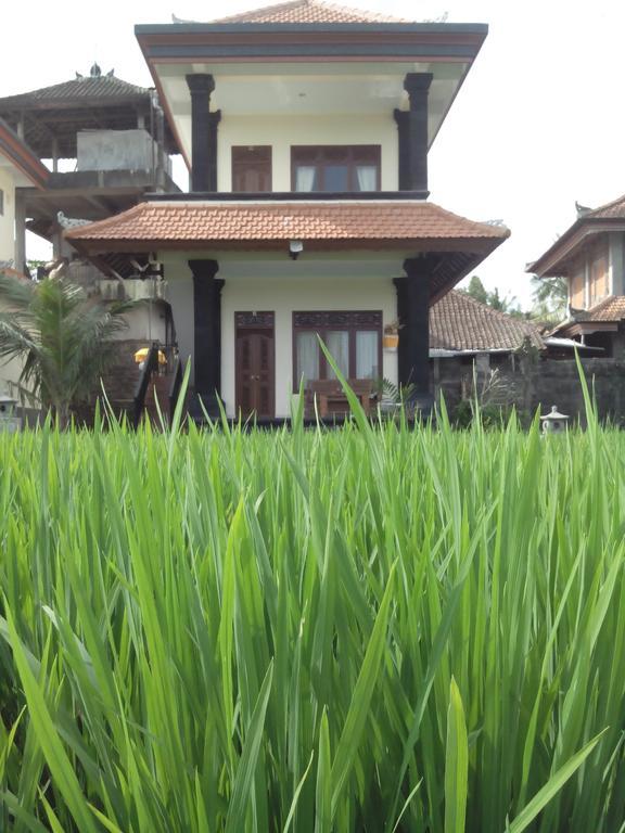Wisma tamu Puji Hostel&bungalow