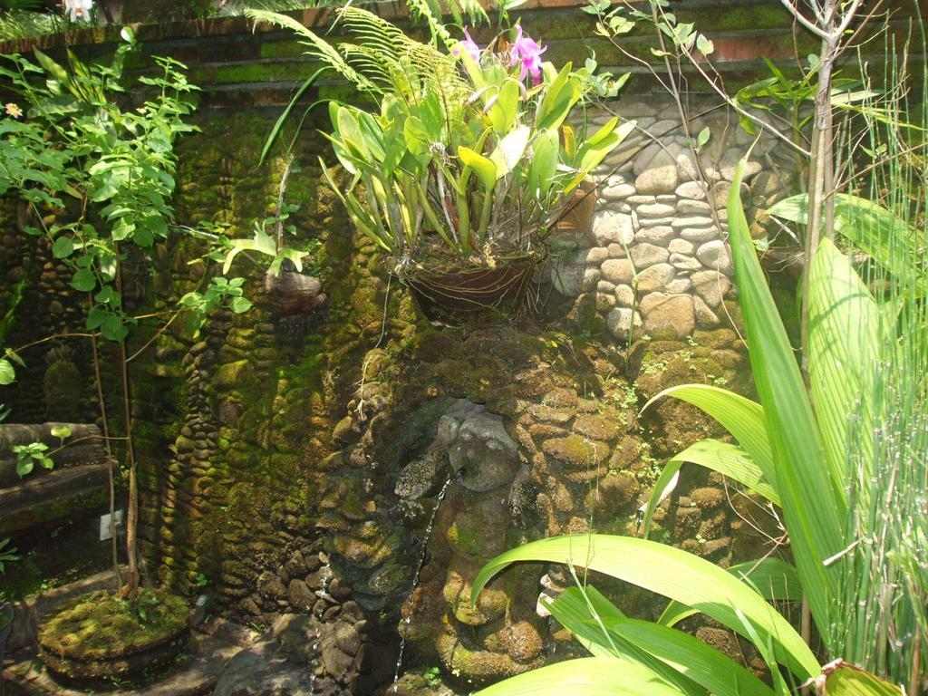 Semana Ubud (Bali)
