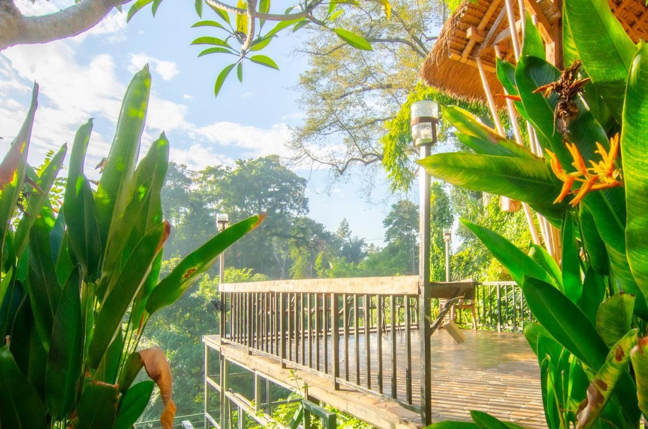 Villa Big Tree House