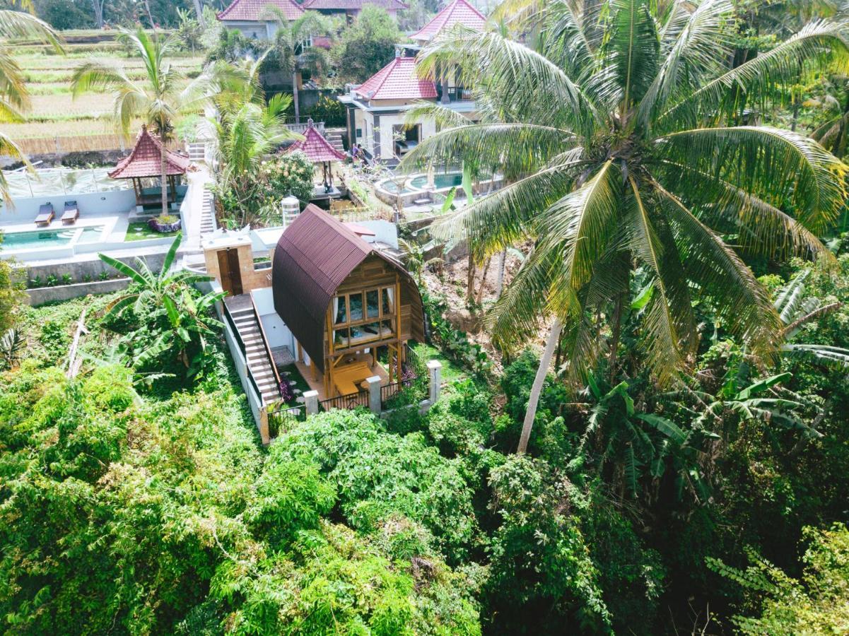 Nini House
