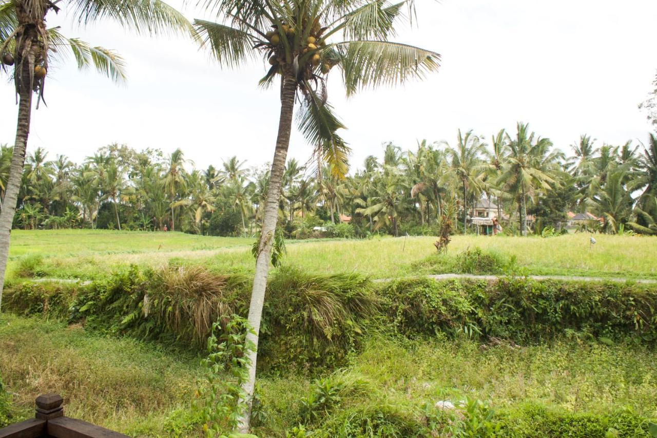 Kishi-kishi 4* Ubud (Bali)