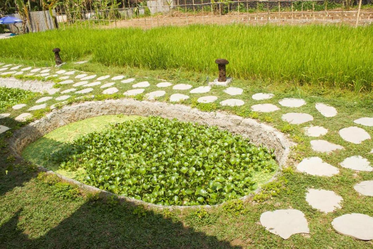 Kishi-kishi Guest house
