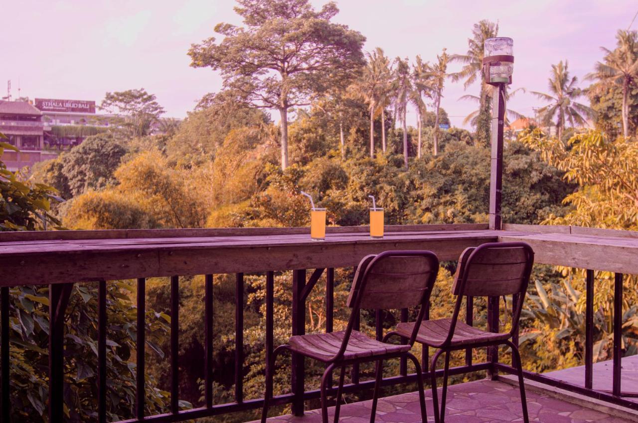 Villa Big Tree House
