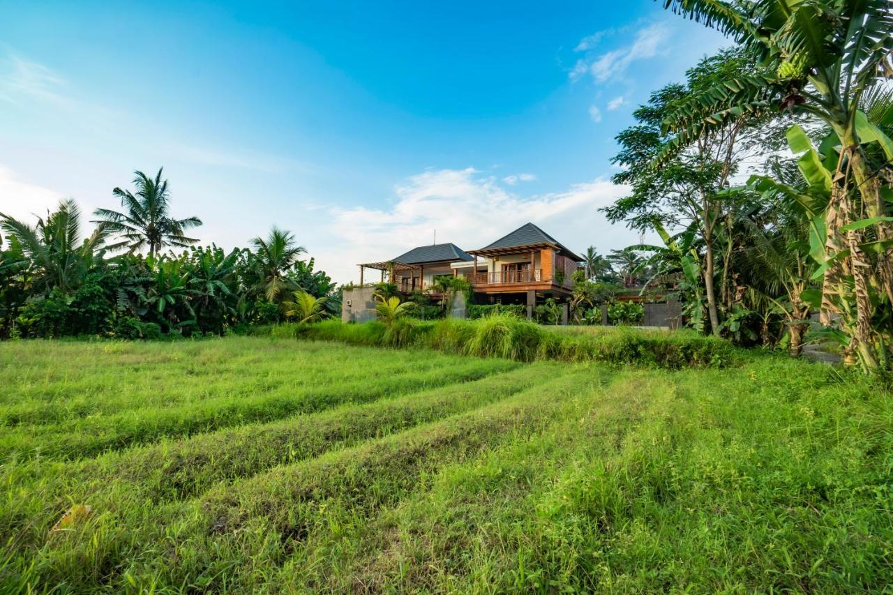 Hotel Uma Shanti By Mahaputra Ubud (Bali)