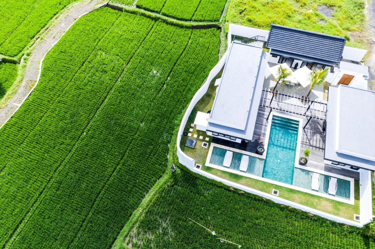 Amazing 3br In The Middle Of Ricefields Ubud (Bali)
