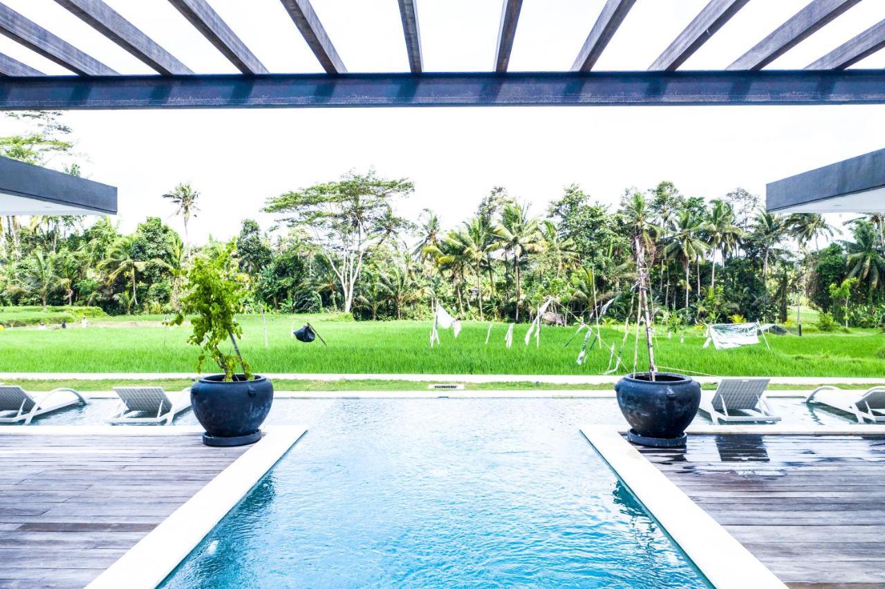 Amazing 3br In The Middle Of Ricefields *