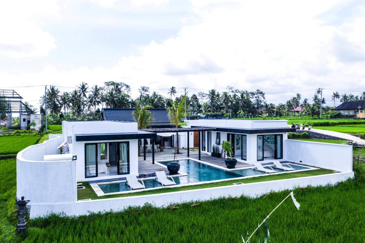 Amazing 3br In The Middle Of Ricefields
