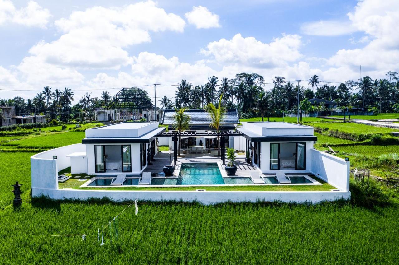 Amazing 3br In The Middle Of Ricefields