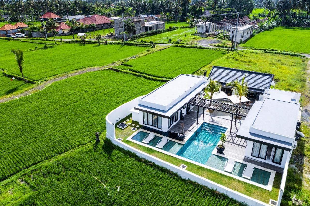 Amazing 3br In The Middle Of Ricefields