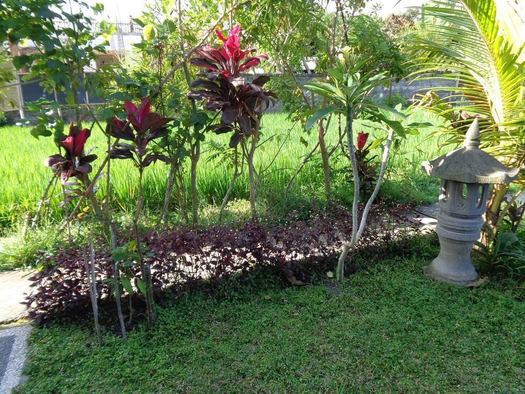 Guest house Bening Ubud (Bali)