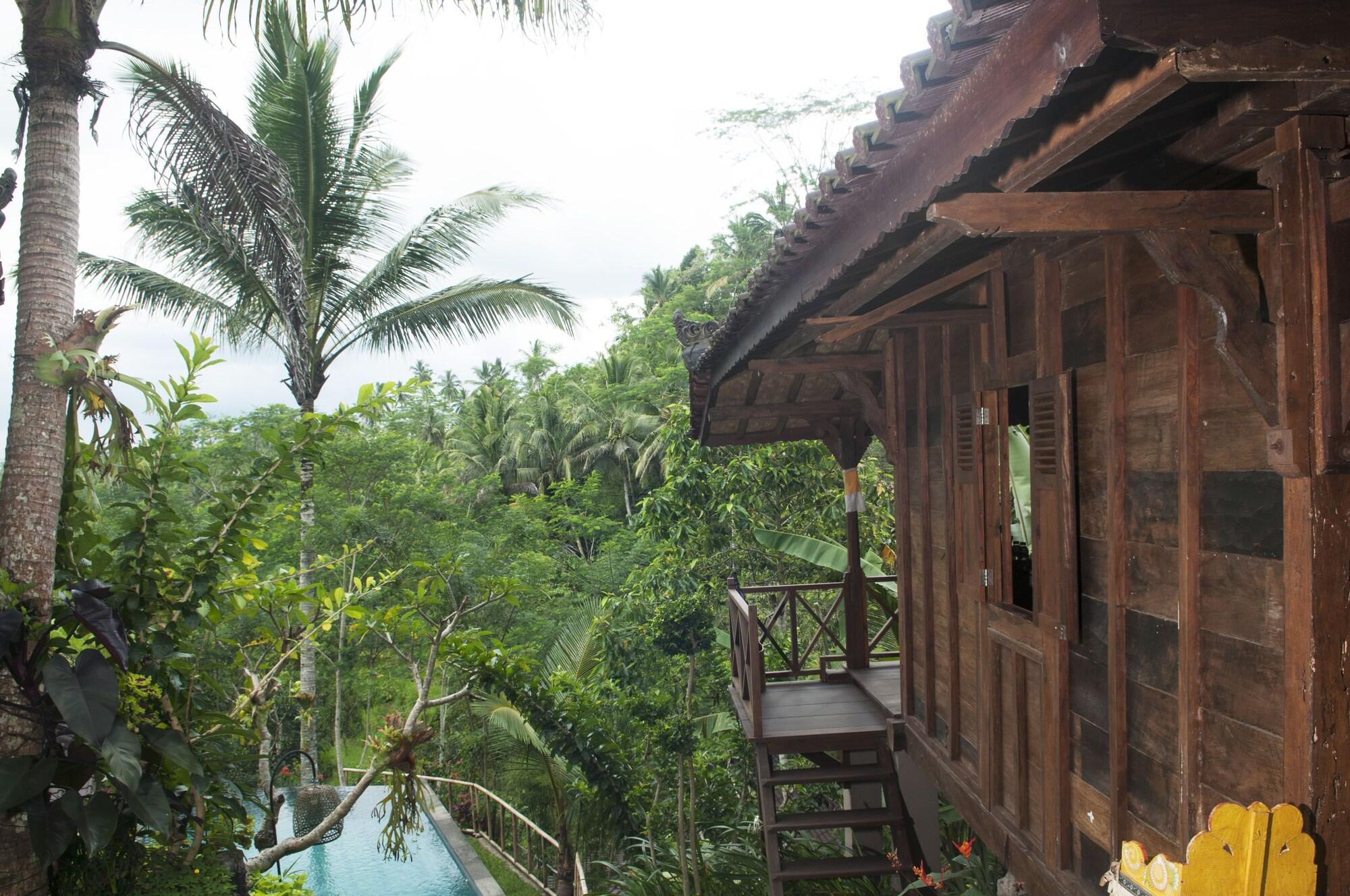 Hotel Dd Ubud Jungle Villa Ubud (Bali)