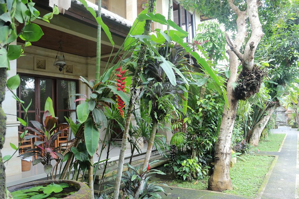 Guest house Karang Mesari